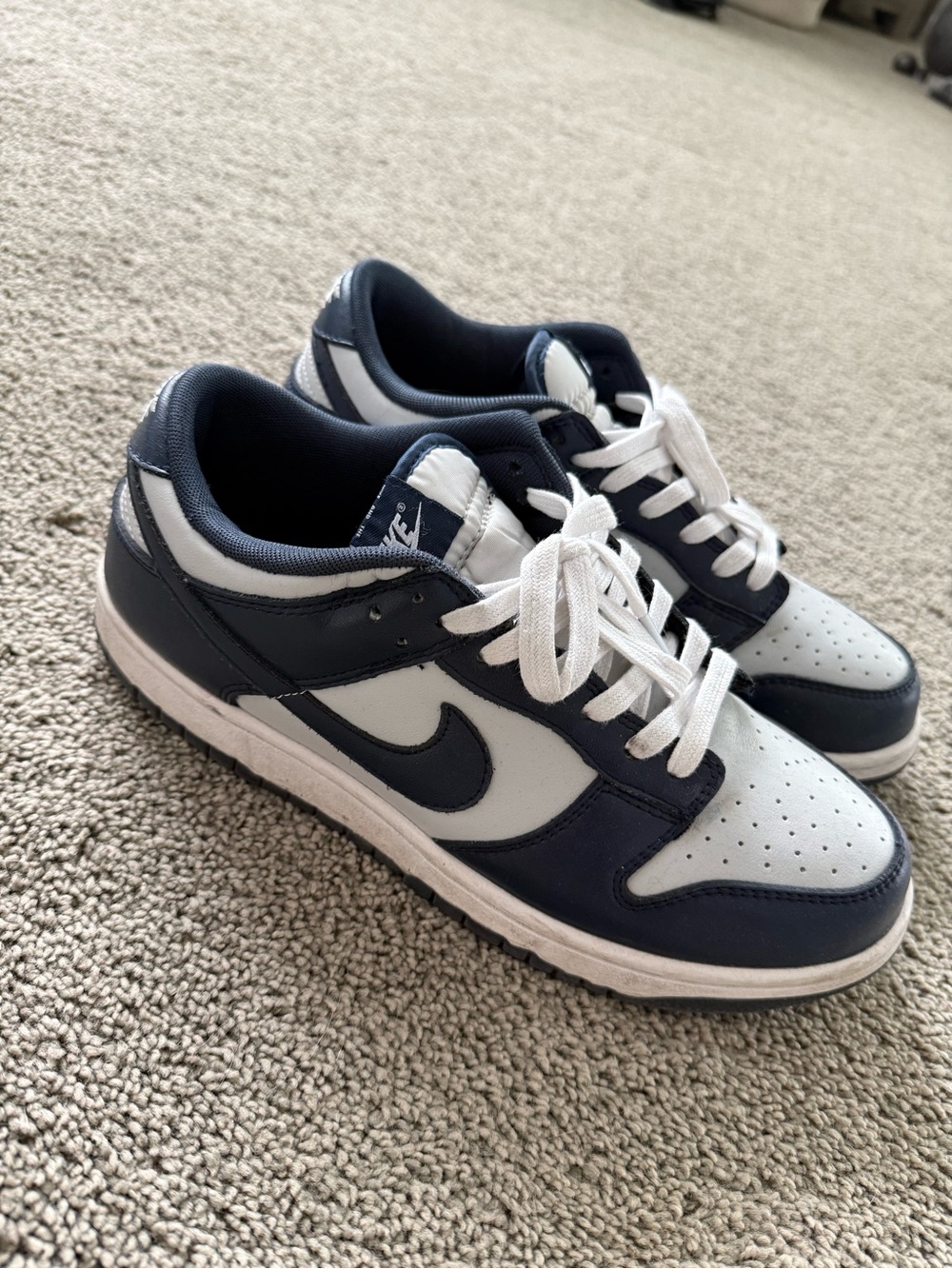 Nike Low-Top Sneakers in Navy and White Leather